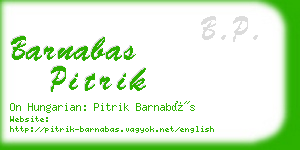 barnabas pitrik business card